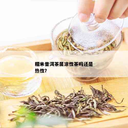 糯米普洱茶属凉性茶吗还是热性？