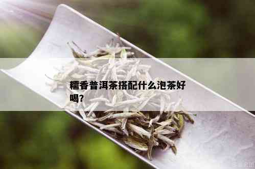 糯香普洱茶搭配什么泡茶好喝？