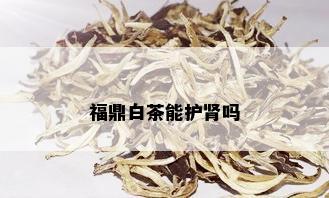 福鼎白茶能护肾吗