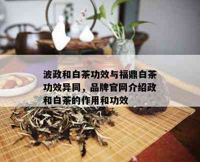 波政和白茶功效与福鼎白茶功效异同，品牌官网介绍政和白茶的作用和功效