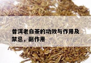 普洱老白茶的功效与作用及禁忌，副作用