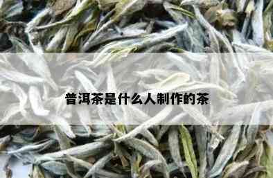 普洱茶是什么人制作的茶