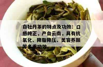 白牡丹茶的特点及功效：口感纯正，产自云南，具有抗氧化、降脂降压、美容养颜等多重功效。