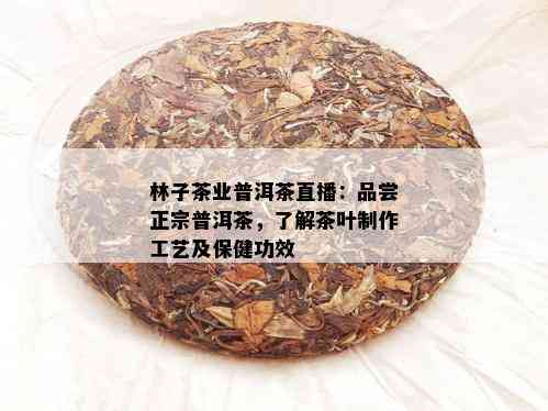 林子茶业普洱茶直播：品尝正宗普洱茶，了解茶叶制作工艺及保健功效