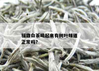 福鼎白茶喝起来有树叶味道正常吗?