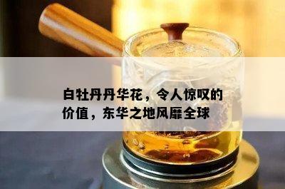 白牡丹丹华花，令人惊叹的价值，东华之地风靡全球