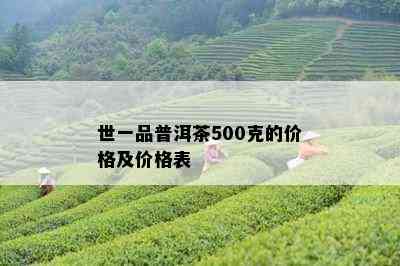 世一品普洱茶500克的价格及价格表