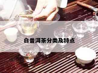 白普洱茶分类及特点