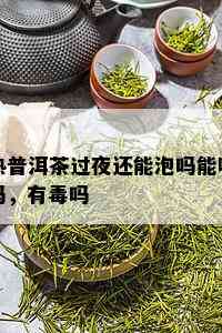 熟普洱茶过夜还能泡吗能喝吗，有吗