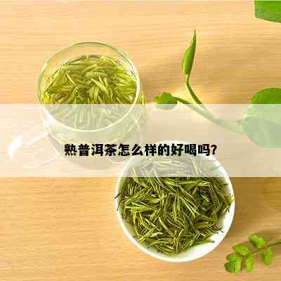 熟普洱茶怎么样的好喝吗？