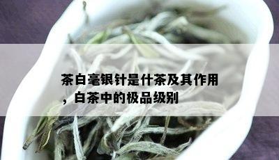 茶白毫银针是什茶及其作用，白茶中的极品级别