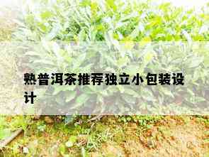 熟普洱茶推荐独立小包装设计