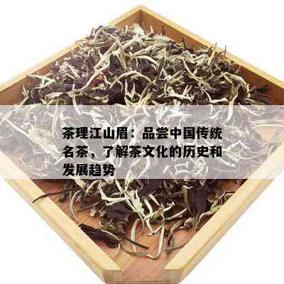 茶理江山眉：品尝中国传统名茶，了解茶文化的历史和发展趋势