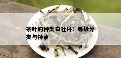 茶叶的种类白牡丹：等级分类与特点