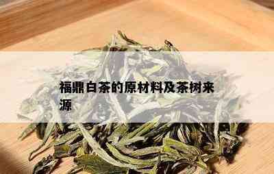 福鼎白茶的原材料及茶树来源