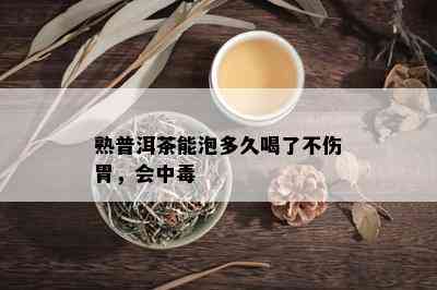 熟普洱茶能泡多久喝了不伤胃，会中