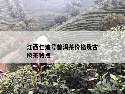 江西仁谊号普洱茶价格及古树茶特点