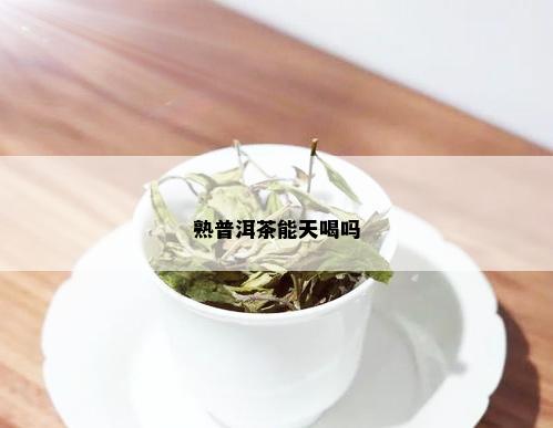 熟普洱茶能天喝吗