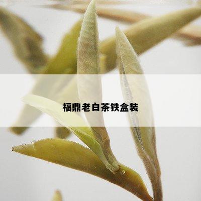 福鼎老白茶铁盒装