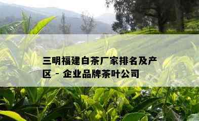 三明福建白茶厂家排名及产区 - 企业品牌茶叶公司