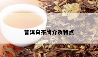 普洱白茶简介及特点