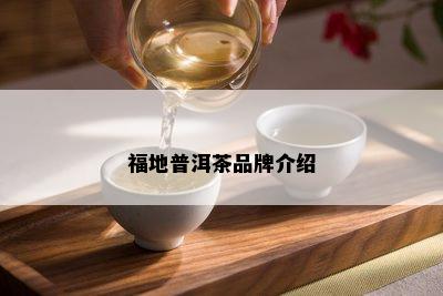 福地普洱茶品牌介绍