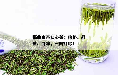 福鼎白茶知心茶：价格、品质、口碑，一网打尽！