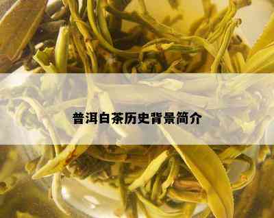 普洱白茶历史背景简介