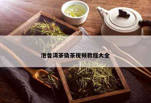 泡普洱茶撬茶视频教程大全