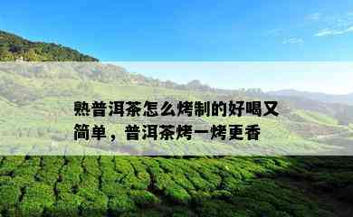 熟普洱茶怎么烤制的好喝又简单，普洱茶烤一烤更香