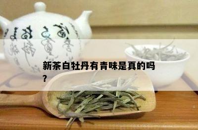 新茶白牡丹有青味是真的吗？