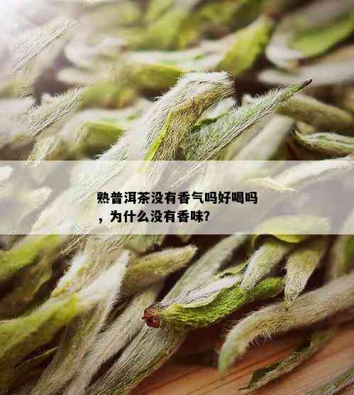 熟普洱茶没有香气吗好喝吗，为什么没有香味？