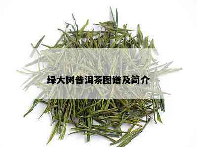 绿大树普洱茶图谱及简介