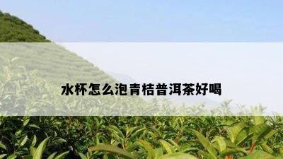 水杯怎么泡青桔普洱茶好喝