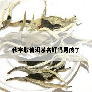 秋字取普洱茶名好吗男孩子