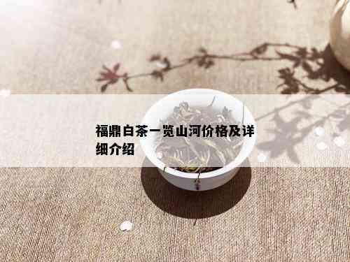 福鼎白茶一览山河价格及详细介绍