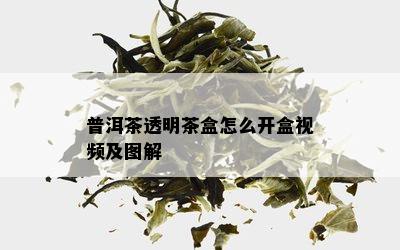 普洱茶透明茶盒怎么开盒视频及图解