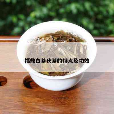 福鼎白茶秋茶的特点及功效