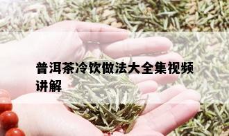 普洱茶冷饮做法大全集视频讲解