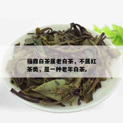 福鼎白茶属老白茶，不属红茶类，是一种老年白茶。