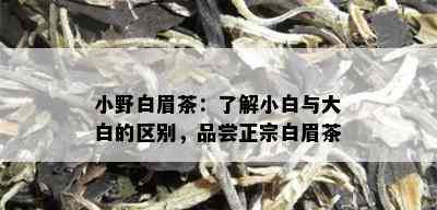 小野白眉茶：了解小白与大白的区别，品尝正宗白眉茶