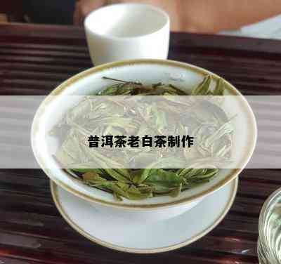 普洱茶老白茶制作