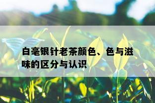 白毫银针老茶颜色、色与滋味的区分与认识