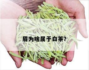 眉为啥属于白茶？