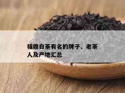 福鼎白茶有名的牌子、老茶人及产地汇总