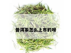 普洱茶怎么上市的呀