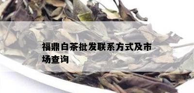 福鼎白茶批发联系方式及市场查询