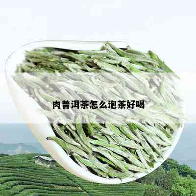 肉普洱茶怎么泡茶好喝