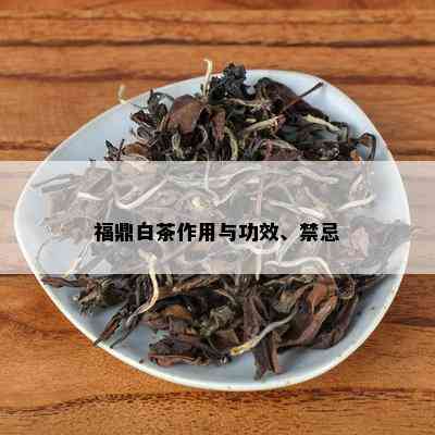 福鼎白茶作用与功效、禁忌