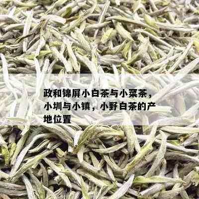 政和锦屏小白茶与小菜茶，小圳与小镇，小野白茶的产地位置